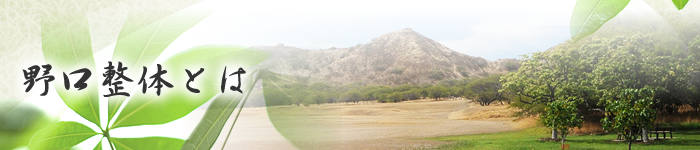 野口整体とは